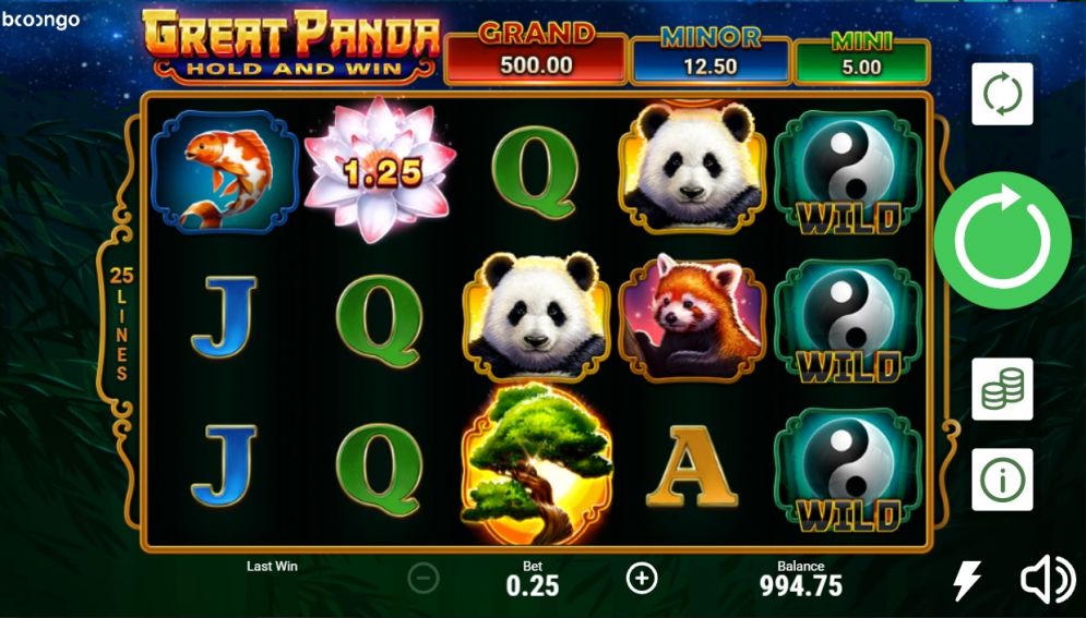 'Great Panda: Hold and Win'