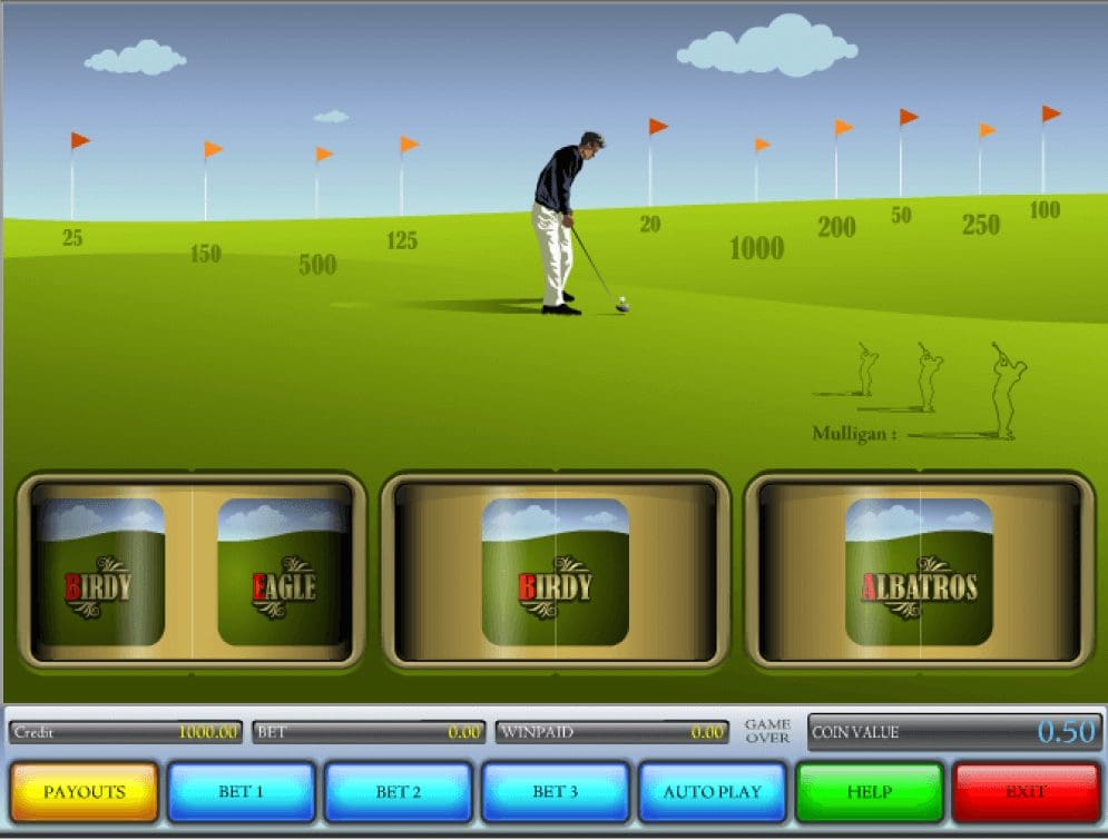 Hole in One