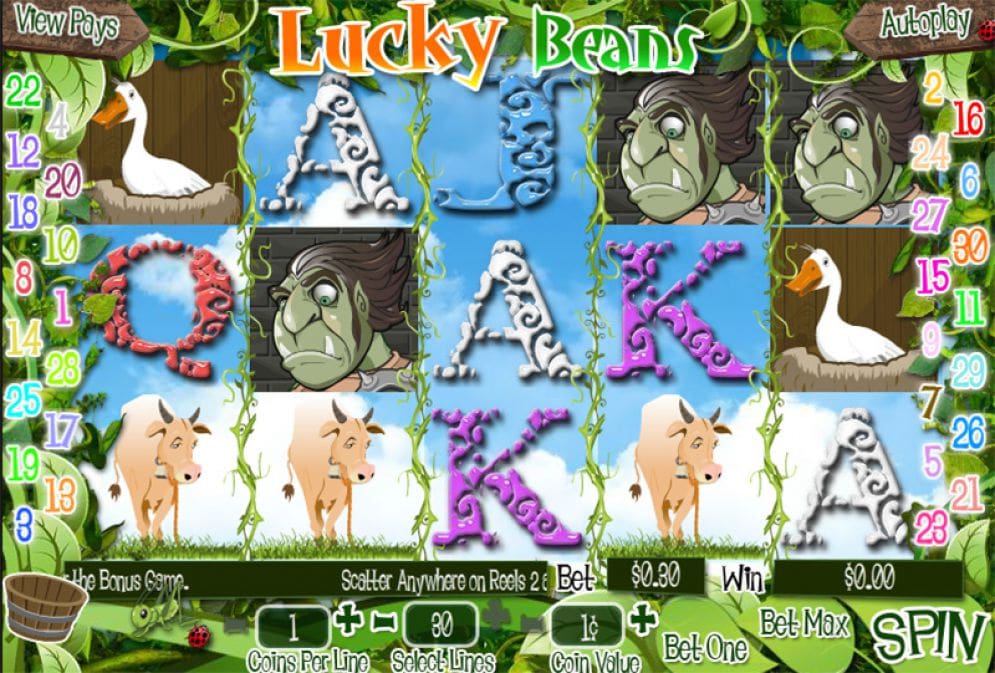 'Lucky Beans'