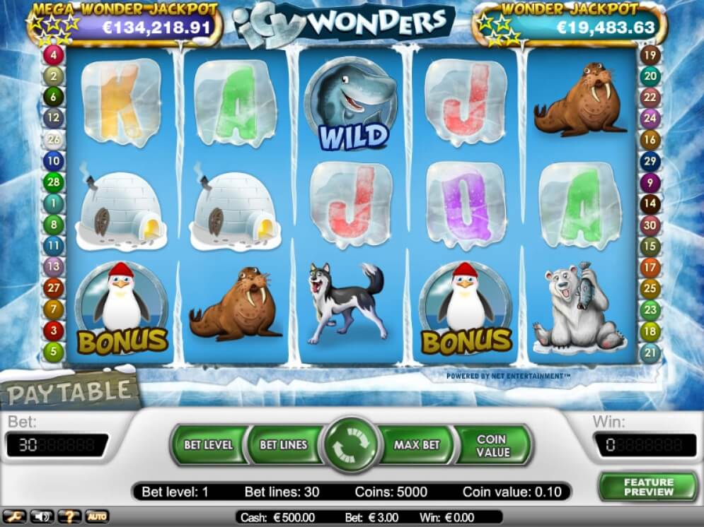 Icy Wonders