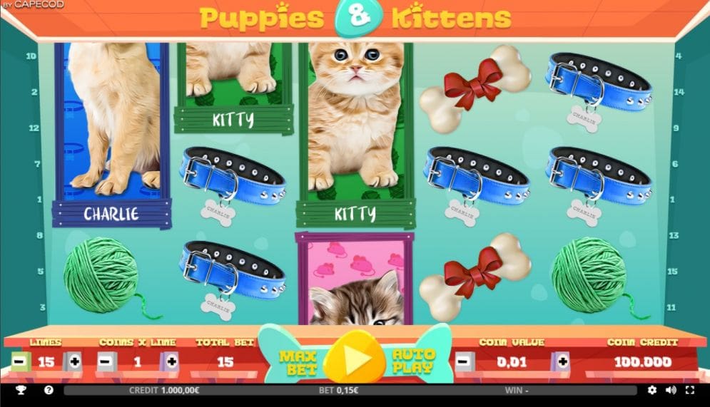 'Puppies & Kittens'