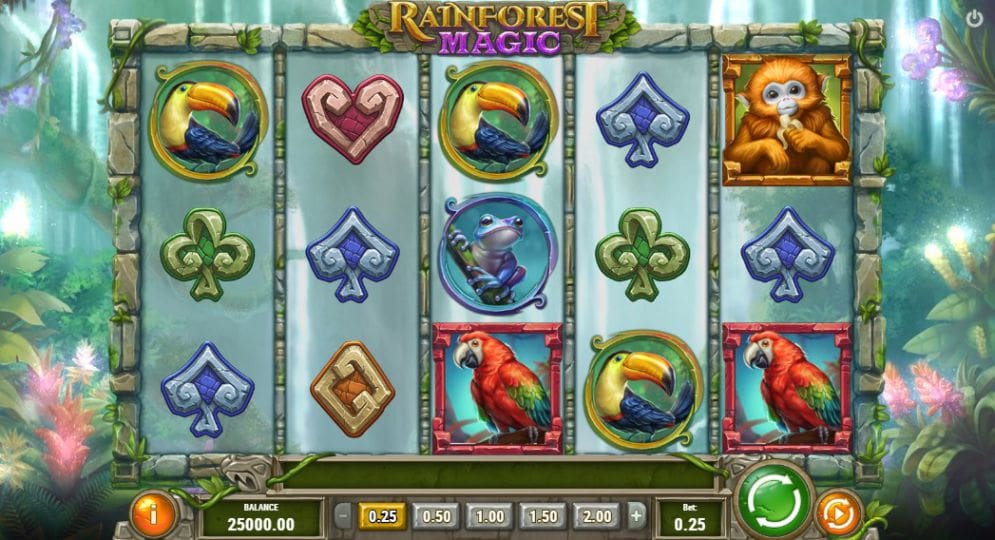 Rainforest Magic