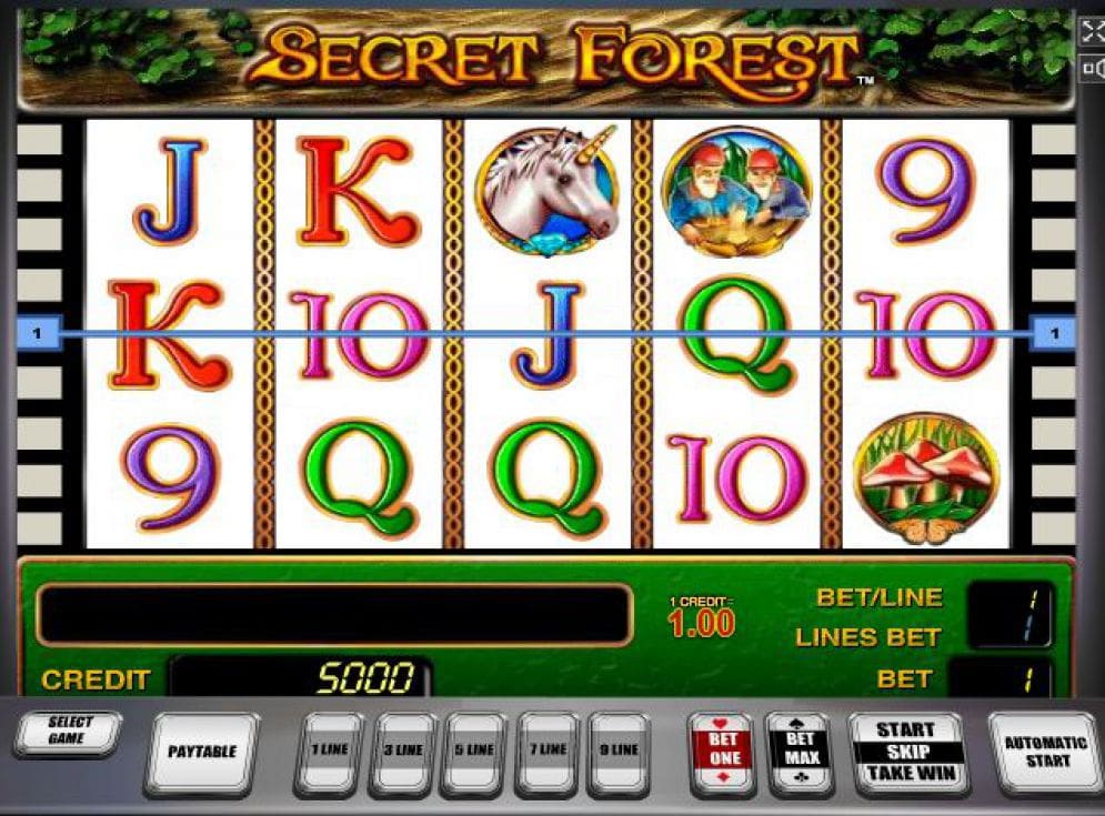 Secret Forest