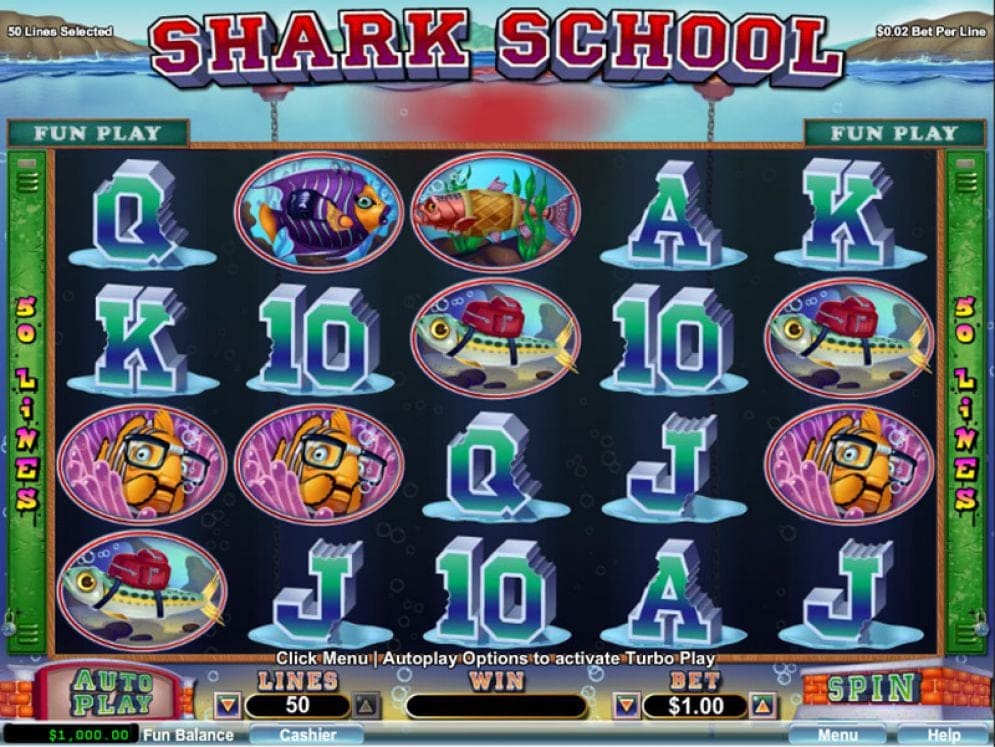 'Shark School'
