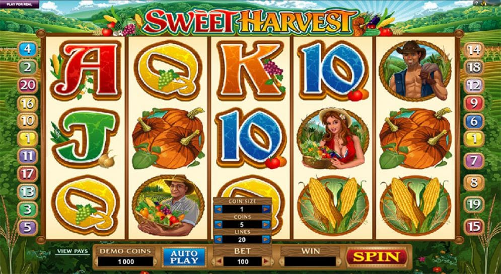 Sweet Harvest
