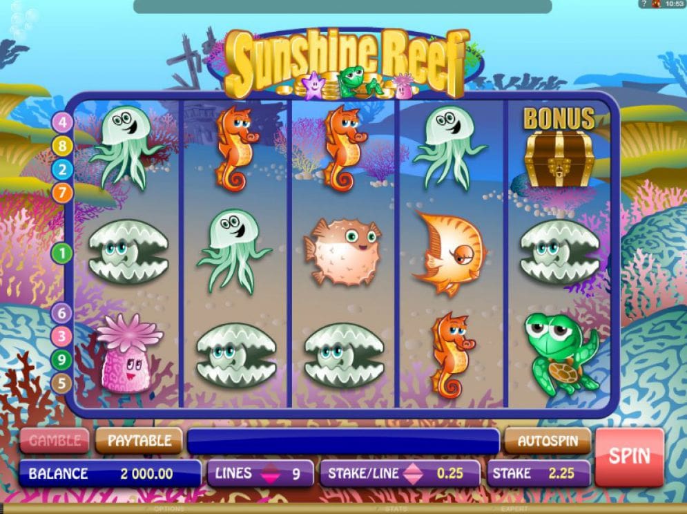 Sunshine Reef