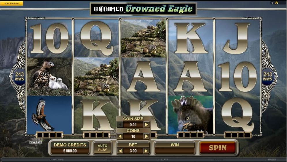 Untamed Crowned Eagle