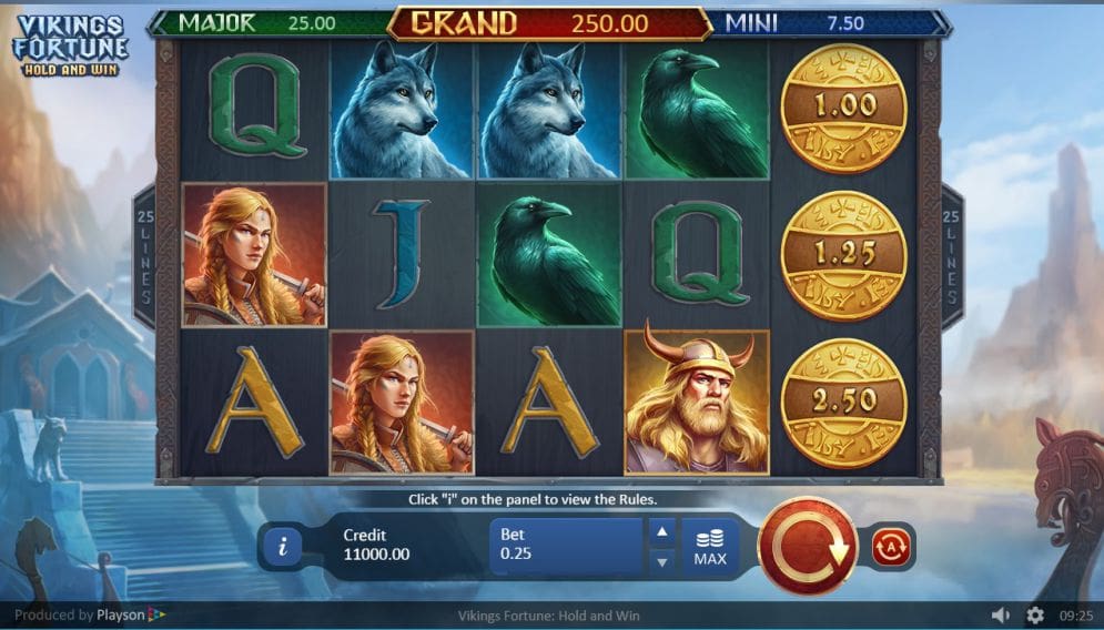 Vikings Fortune: Hold and Win