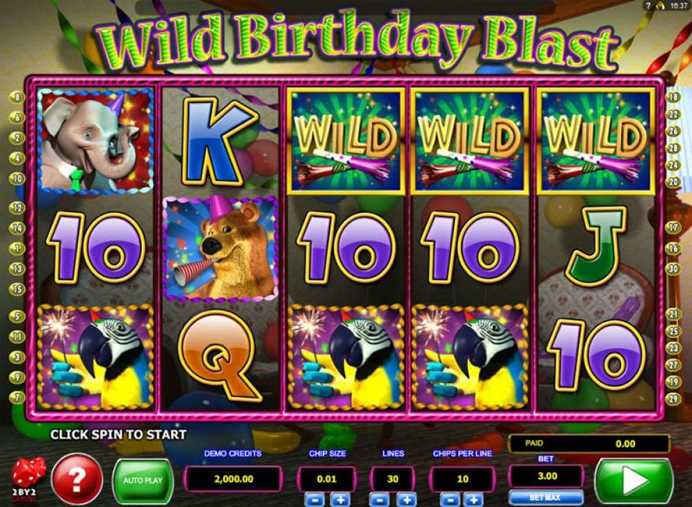'Wild Birthday Blast'