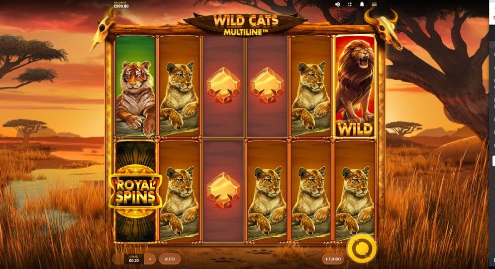 Wild Cats Multiline