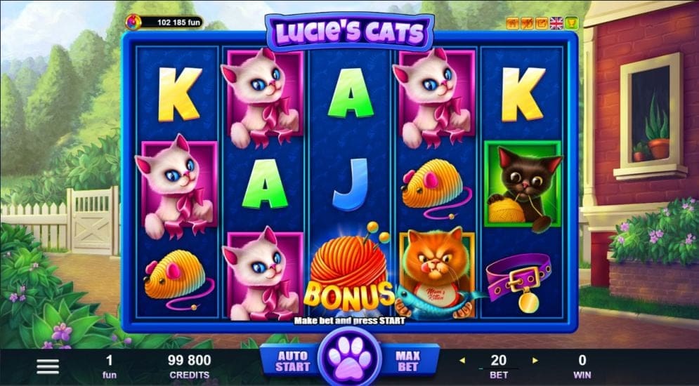 'Lucie’s Cats'