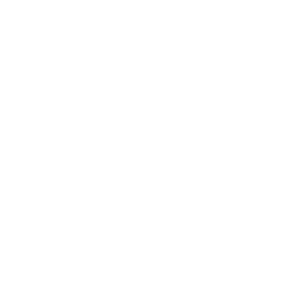 Magnumbet