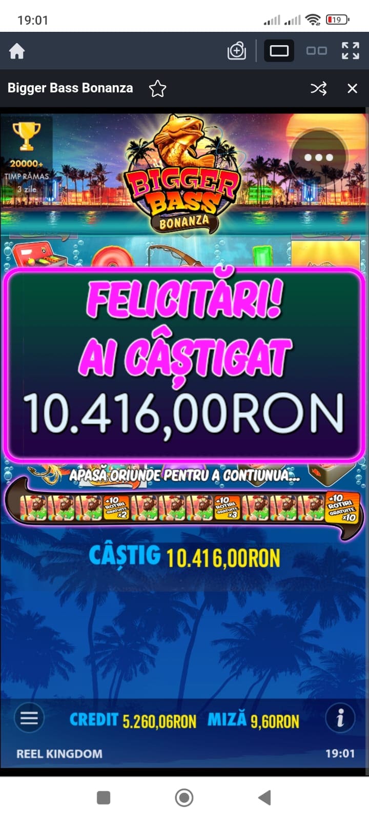 single-castig